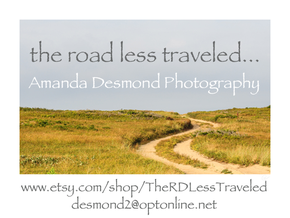 Amanda Desmond Photography